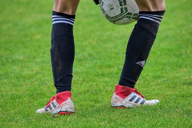 里程碑！科利尔成为爵士队史上拿到500助攻最快的球员